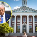 Trump Contra Harvard: La Pelea Clave De Su Nueva Era